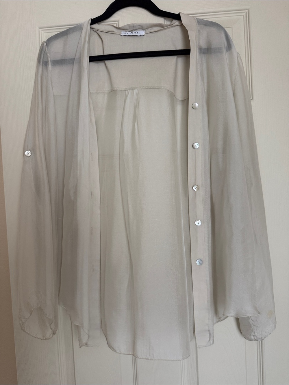 Sheer Cream Button-Front Blouse
